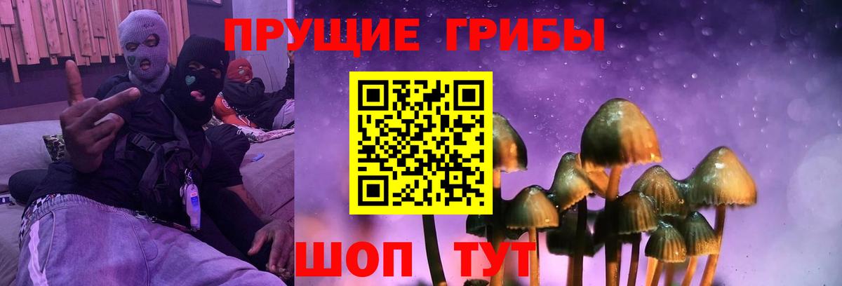 Псилоцибиновые грибы GOLDEN TEACHER  Вход с VPN  Можайск 